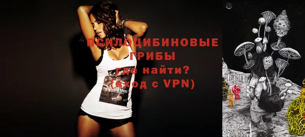 экстази Осташков
