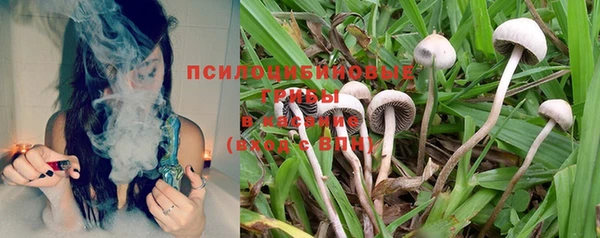 экстази Осташков