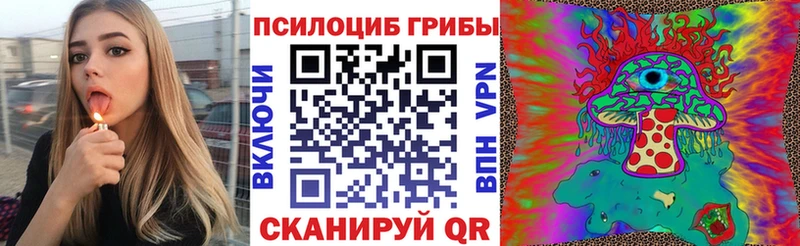 Галлюциногенные грибы Psilocybe  Купить  Сорочинск 
